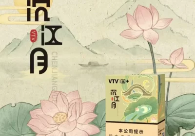 vtv沉江月