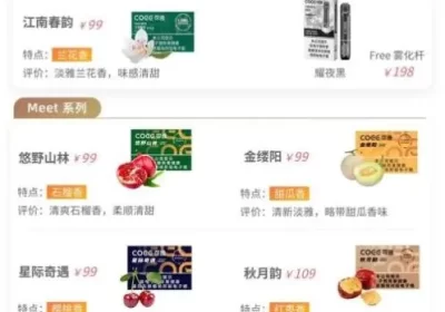 coee电子烟烟弹