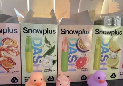 雪加鸭嘴兽一次性