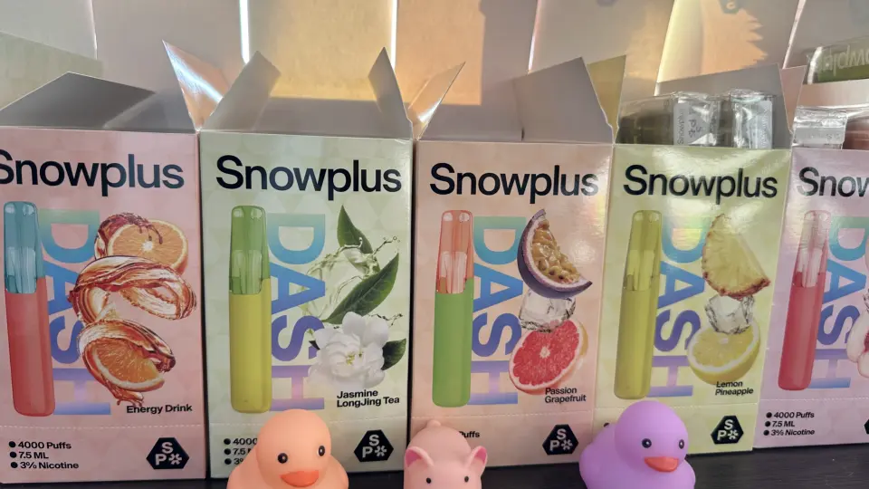 雪加鸭嘴兽一次性